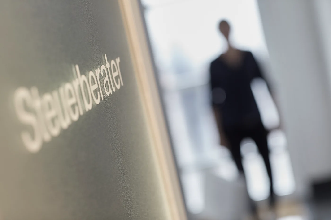 Kanzleischild Steuerberater mit Silhouette im Hintergrund